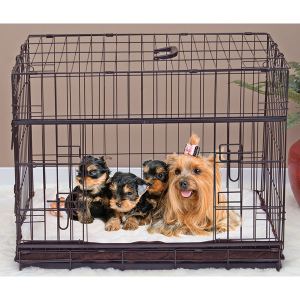 Tucker Murphy Pet™ Seaforth Sliding Double Door Pet Crate & Reviews